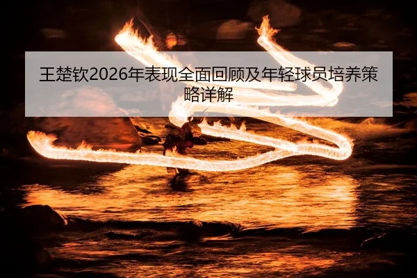 王楚钦2026年表现全面回顾及年轻球员培养策略详解 - LEYU SPORTS